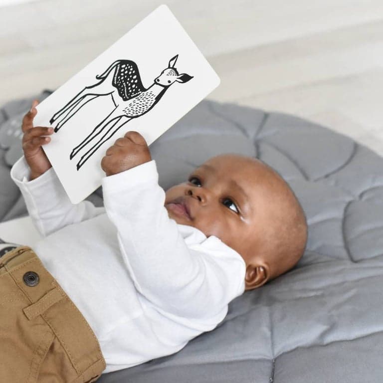 immagine della categoria