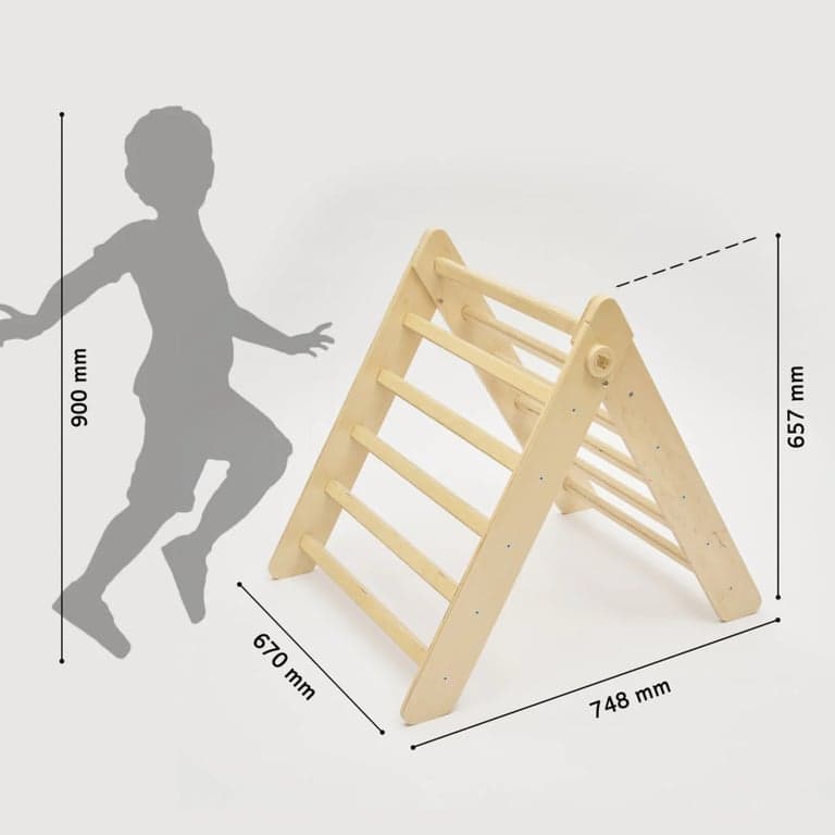 immagine della categoria