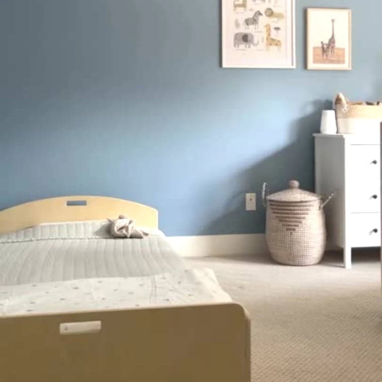 immagine della categoria