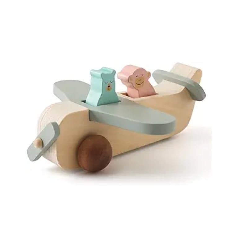 Ibwaae Wooden Airplane Toys Animal