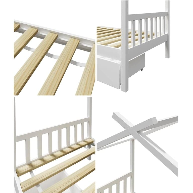 immagine della categoria