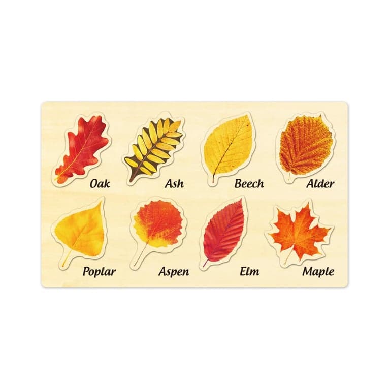 MoinKidz Leaf Wooden Puzzle