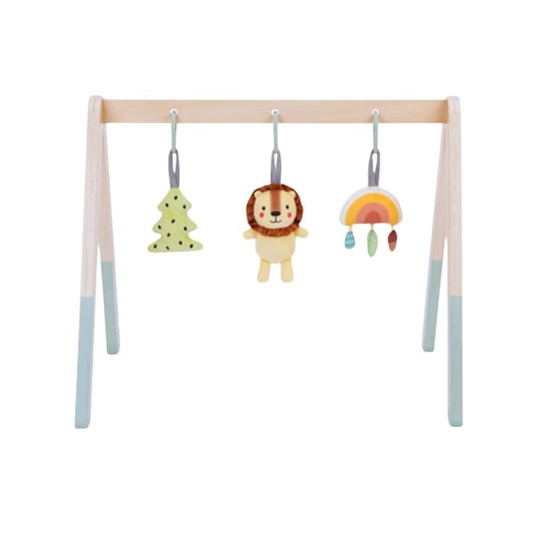 Tooky Toy Palestra per Bambini