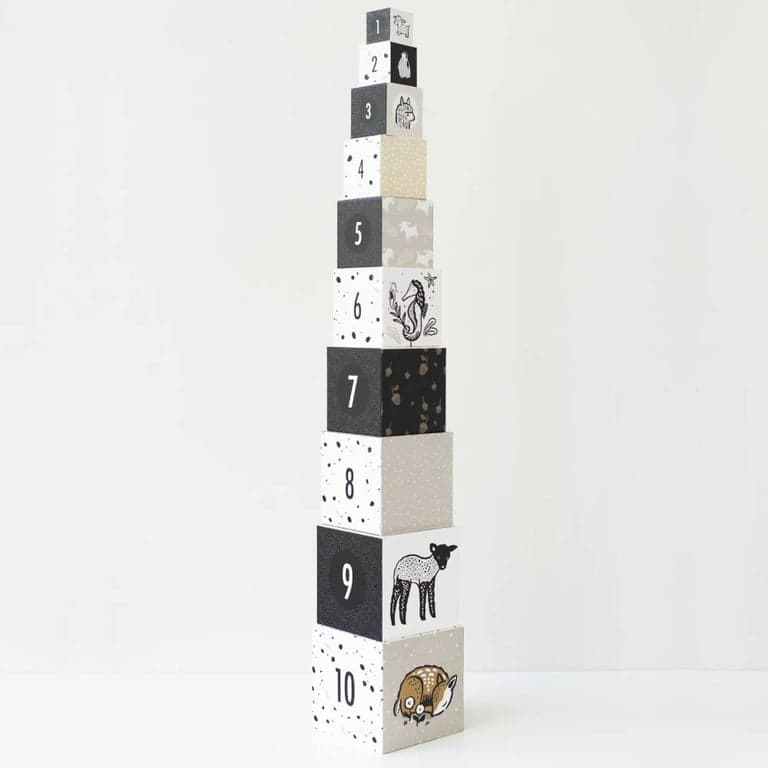 immagine della categoria