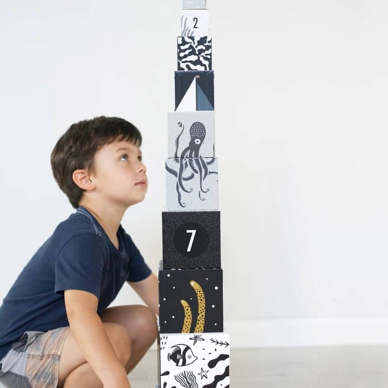immagine della categoria