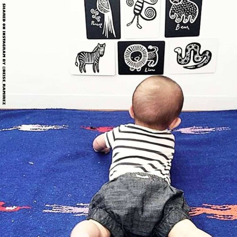 immagine della categoria