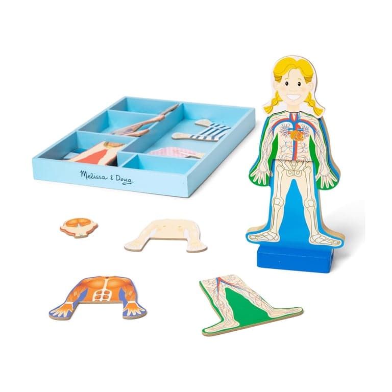 Melissa & Doug Magnetic Human Body Anatomy Play Set