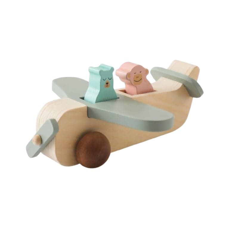 Wonder Space Wooden Plane