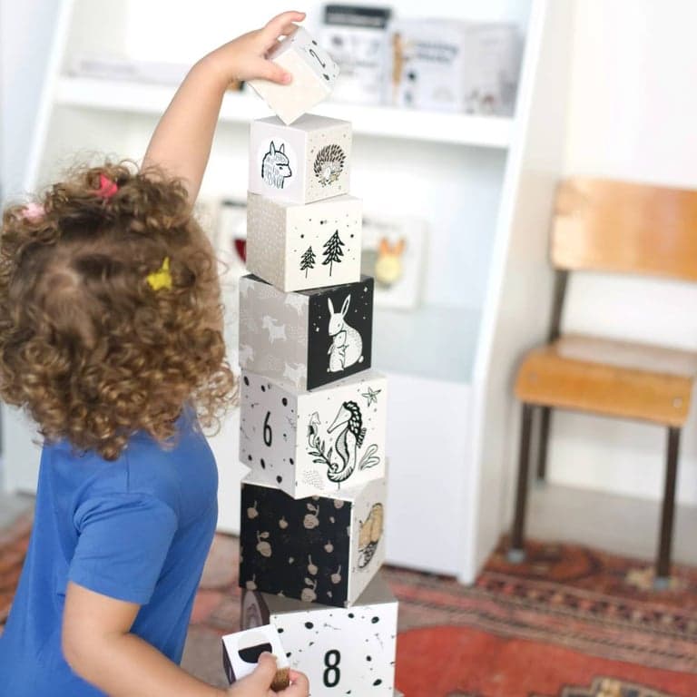 immagine della categoria