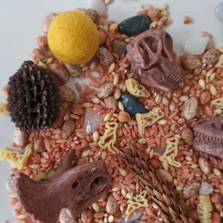 immagine della categoria