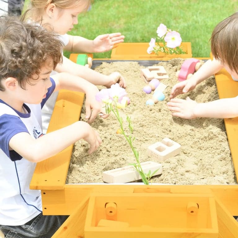 immagine della categoria