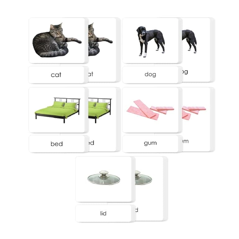 Maitri Learning Phonetic Card Level 1 Set Simplest Phonetic Words