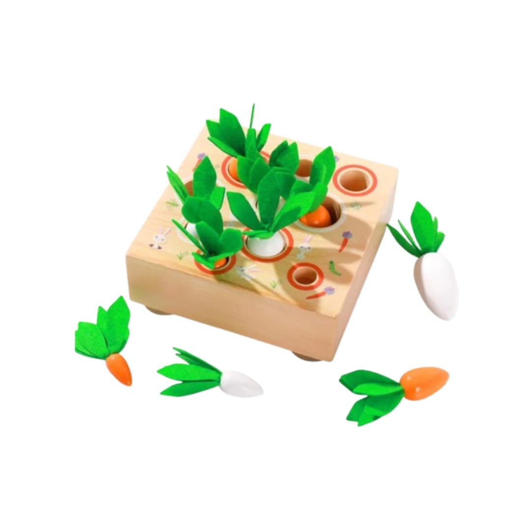 Elis Design Gioco di Abbinamento delle Carote