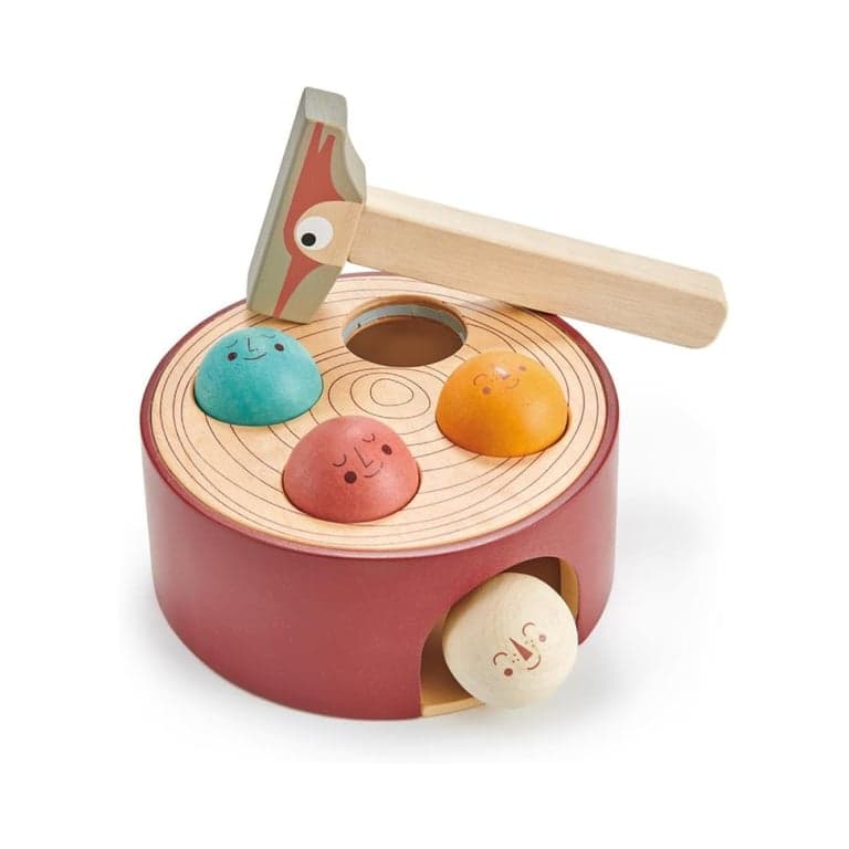 Tender Leaf Woodpecker Hammering Toy Set