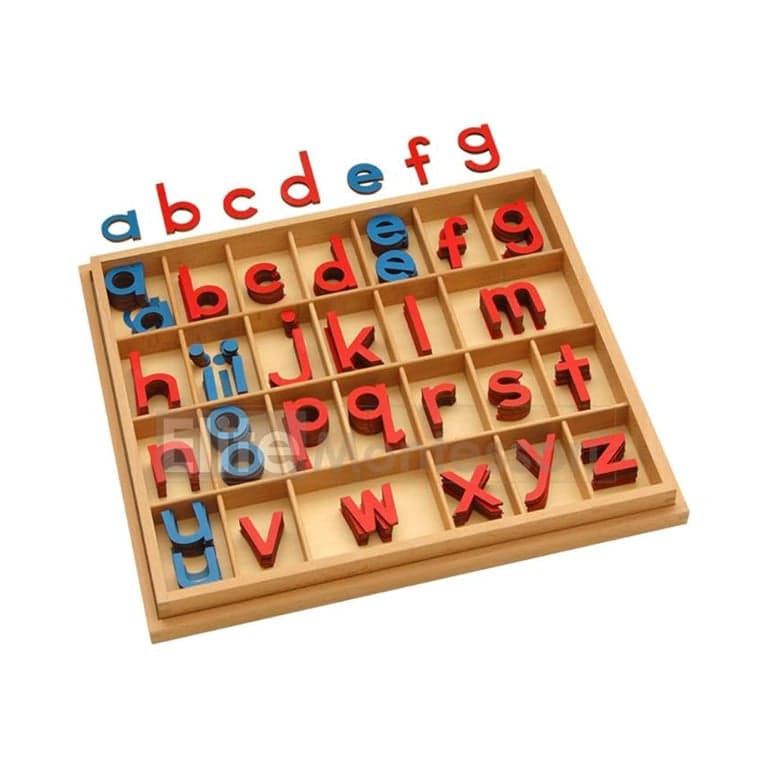 Elite Montessori Wooden Movable Alphabet With Box